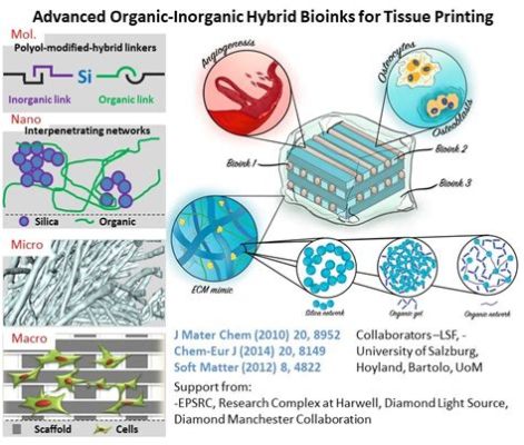  Woollen Biomaterial - Biocompatible Future for Regenerative Medicine!