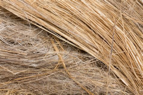  Flax Fiber: Sustainable Reinforcement and Natural Textile Wonder!