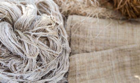  Hemp: Luomu materiaali textilen tulevaisuudelle?