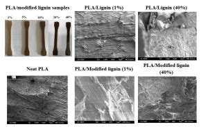  Lignin Nanofibers: Revolutionizing Composite Materials and Sustainable Packaging Solutions!